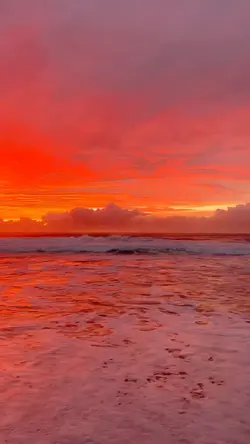 mentahan.video