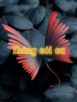 Thông sói ca