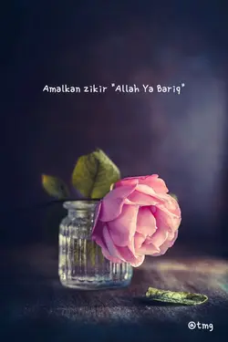 zikir Ya Bariq