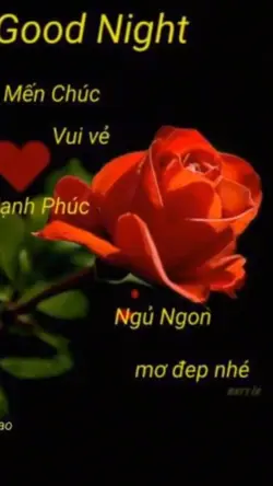 Ngủ ngon