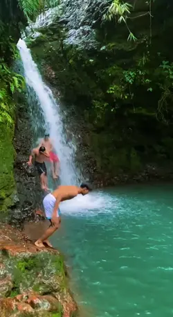 Kembali Kehabitat 