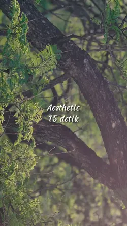 Aesthetic 15 detik