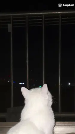 template lirik 10dtk