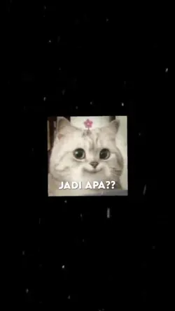 meong meong meong