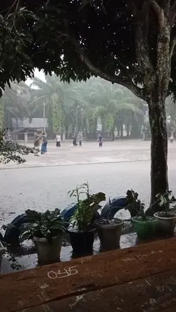Video Panjang