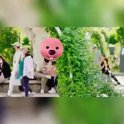 애버랜드 장미축제의 홍보모델 체험