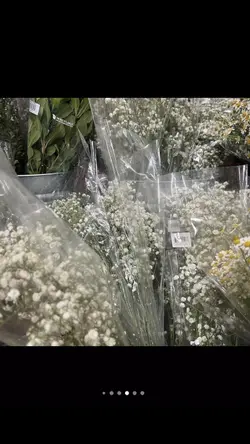 เลื่อนรูป 7 รูป มาแรง