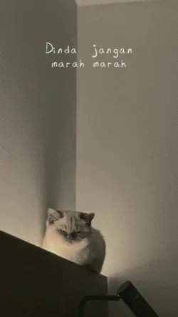 dinda jangan marah