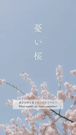 インスタ映え(動画16個)