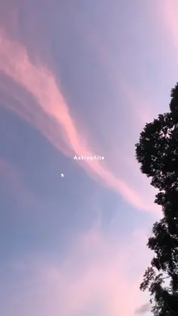 astrophile 