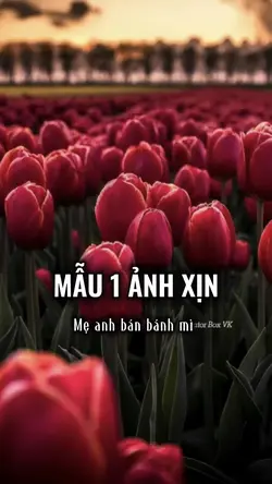 Mẹ a bán bánh mì