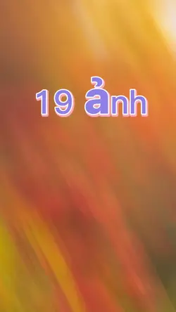 19 ảnh