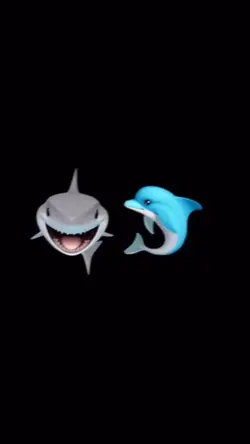 🦈&🐬