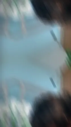 1 video + 6 foto
