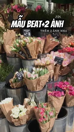 Mẫu Beat+2 Ảnh