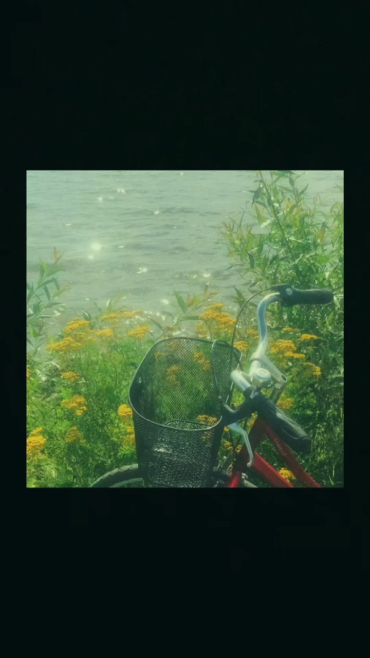 진정해🌿