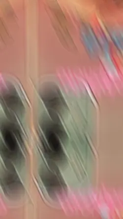 2 ảnh