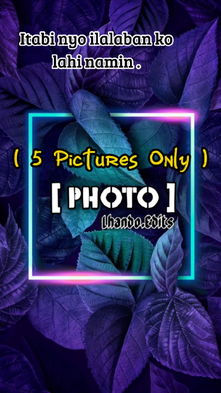 Cover Picture