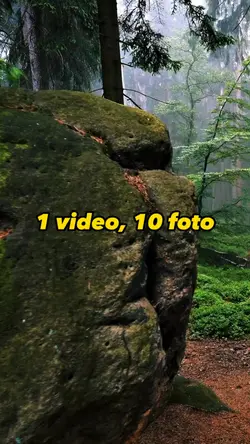 template transisi