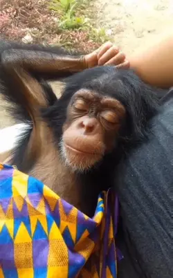 for ur sleeping frnd