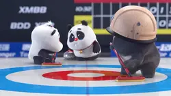 Panda & Bear