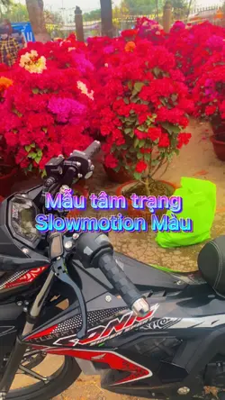 Gọi em là 30 tết 