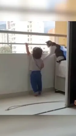anak dijaga kucing