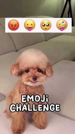 Emoji Challenge 