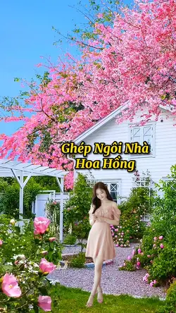 Ghép Cảnh Đẹp