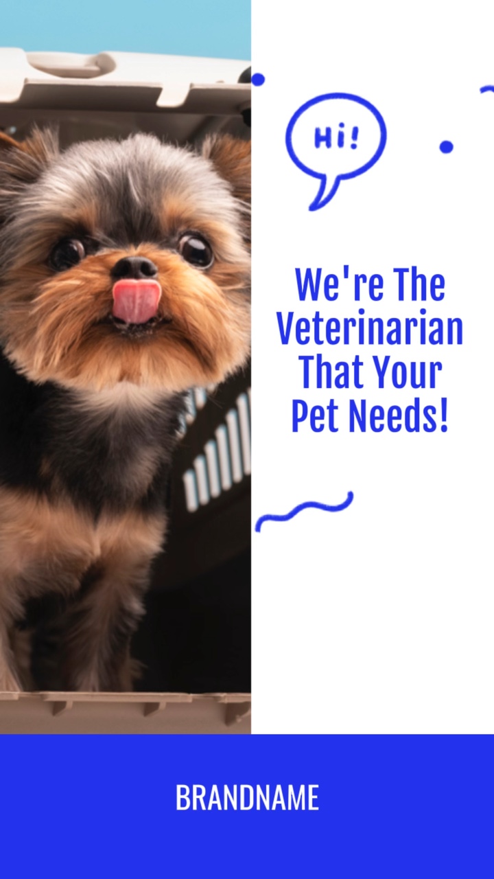 Pet Medical Service Promo