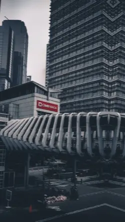 5รูปงับ HABIBI