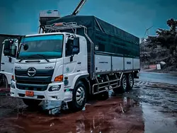 Mẫu xe | 2 ảnh