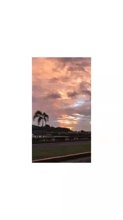 #videoxphoto
