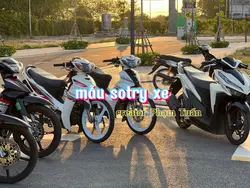 mẫu sotry xe