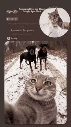 i promise im yours