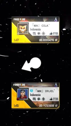 Collab Freefire