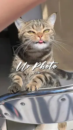foto jalan mundur 
