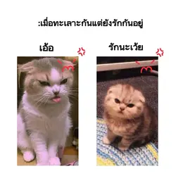 โอ๊ยยยย เอาไงอะ!