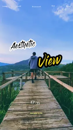 Aesthetic View