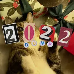 2022 DUMP 100 CLIPS