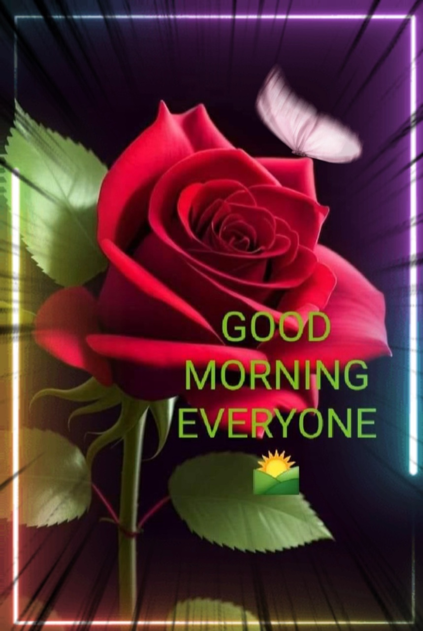 Bom Dia