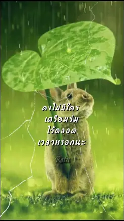 ฝ่าพายุฝนสู่ปลายทาง