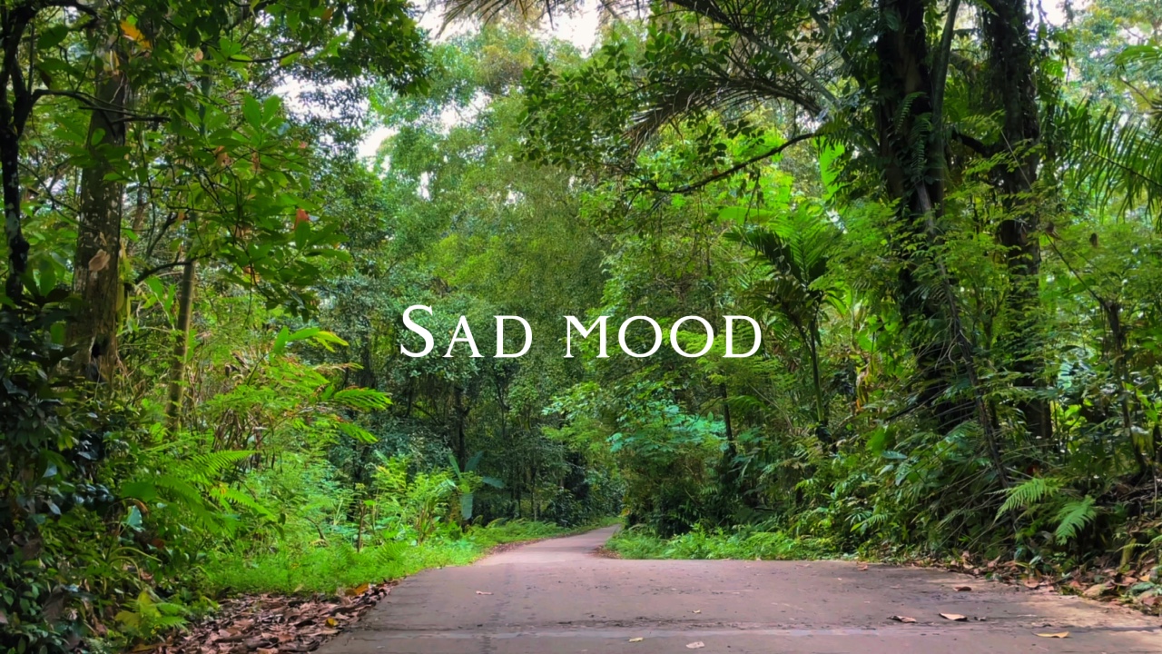 EIY X SAD