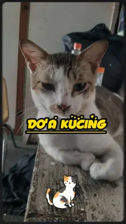 DOA KUCING