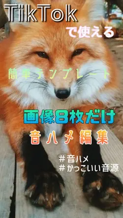 アンタッチャブル｜音ハメ動画／伝説のサムライ様参考