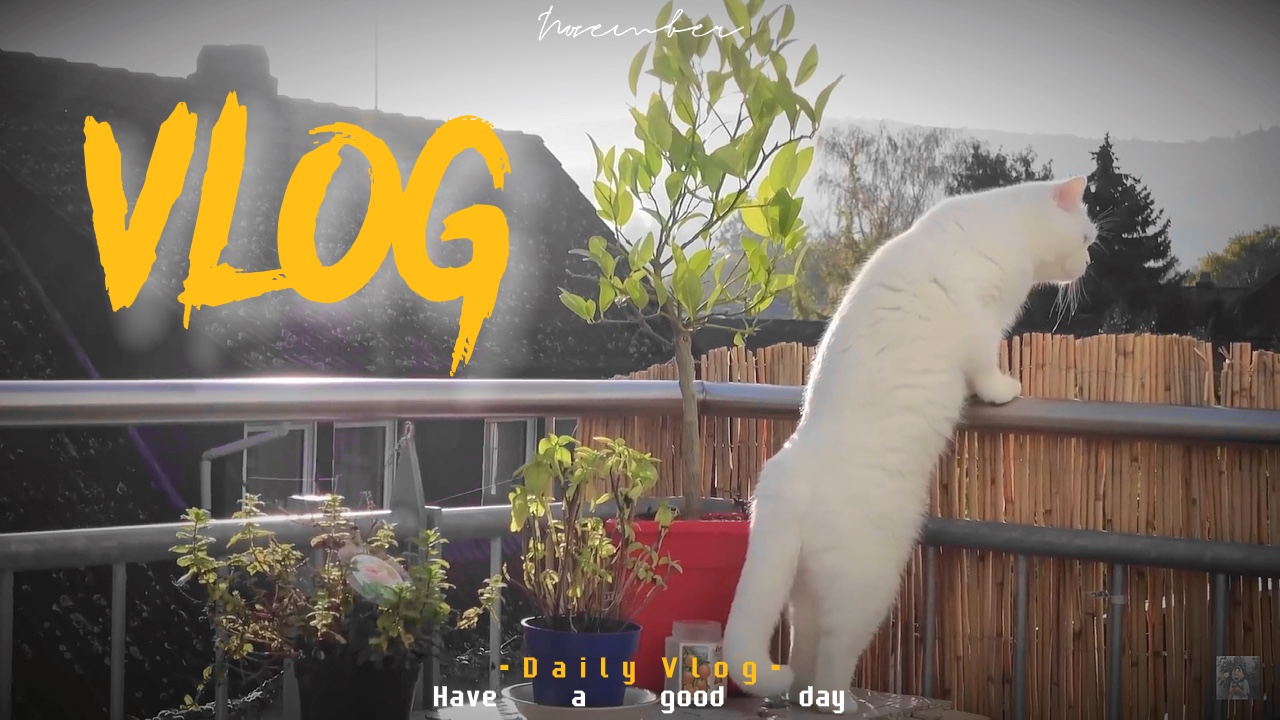 Vlog diário💞