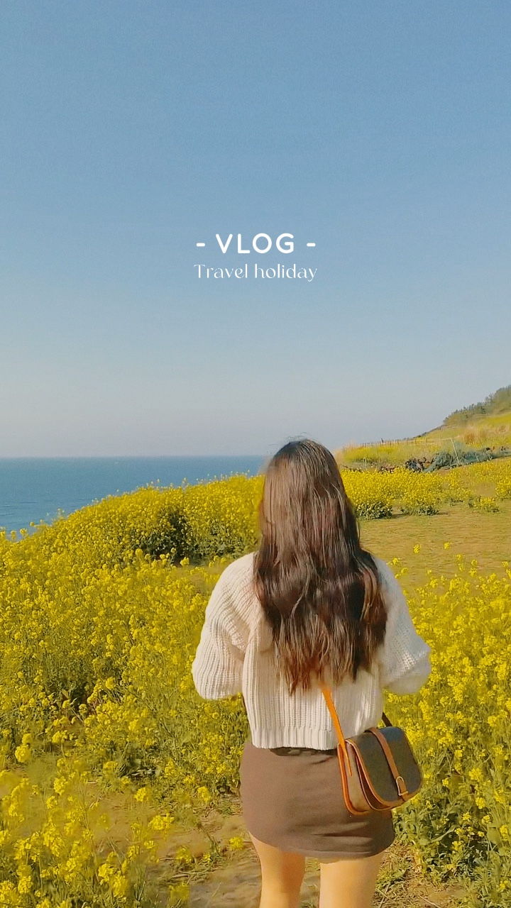 Vlog- Filme