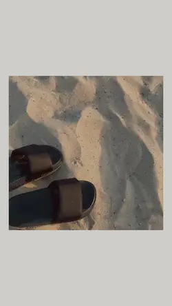 Vlog Estetik
