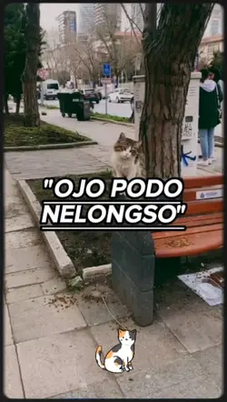 OJO PODO NELONGSO