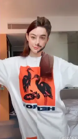 GENDER SWAP FILTER 